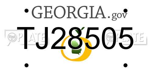 TJ28505 Georgia License Plate