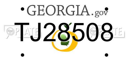 TJ28508 Georgia License Plate