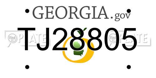 TJ28805 Georgia License Plate