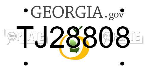 TJ28808 Georgia License Plate
