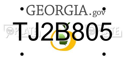 TJ2B805 Georgia License Plate