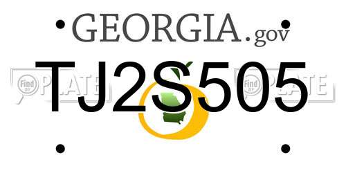 TJ2S505 Georgia License Plate