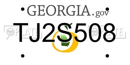 TJ2S508 Georgia License Plate