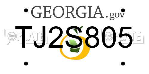 TJ2S805 Georgia License Plate