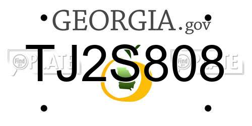 TJ2S808 Georgia License Plate