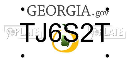 TJ6S2T Georgia License Plate