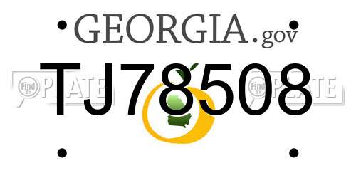 TJ78508 Georgia License Plate