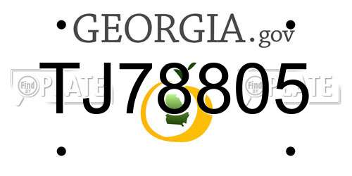 TJ78805 Georgia License Plate