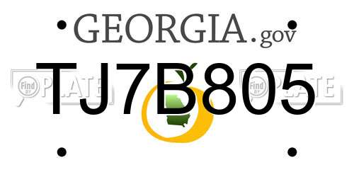 TJ7B805 Georgia License Plate