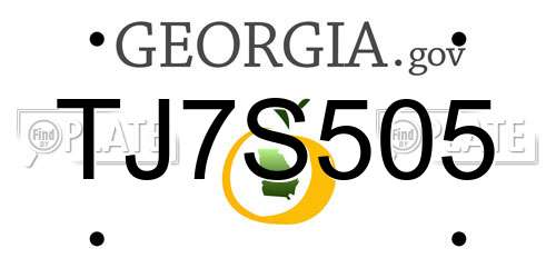 TJ7S505 Georgia License Plate