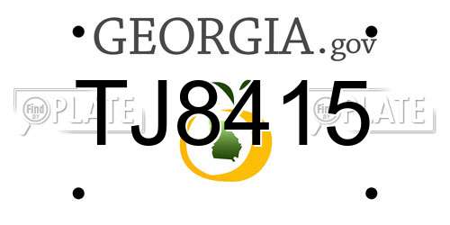 TJ8415 Georgia License Plate