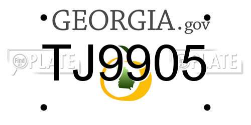 TJ9905 Georgia License Plate