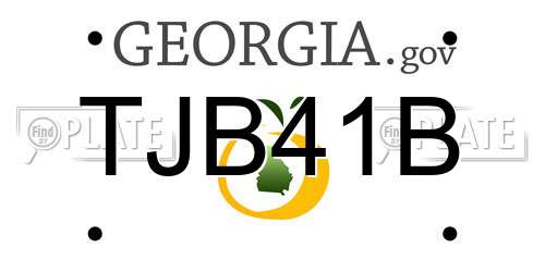 TJB41B Georgia License Plate