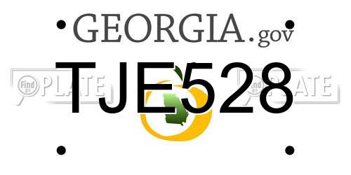 TJE528 Georgia License Plate