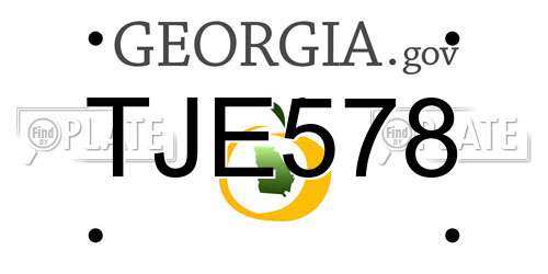 TJE578 Georgia License Plate
