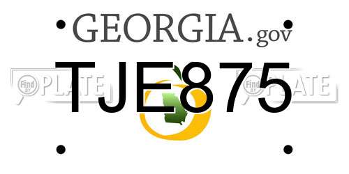 TJE875 Georgia License Plate