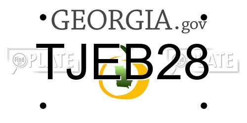 TJEB28 Georgia License Plate