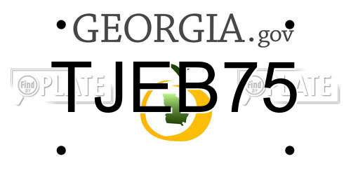 TJEB75 Georgia License Plate