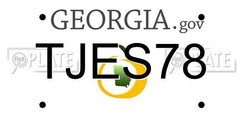 TJES78 Georgia License Plate
