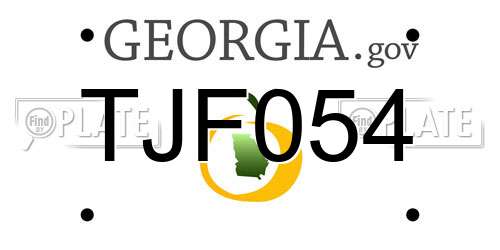 TJF054 Georgia License Plate