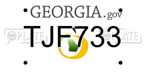 TJF733 Georgia License Plate