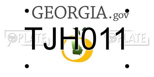 TJH011 Georgia License Plate