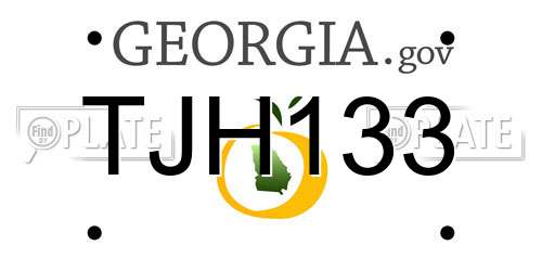 TJH133 Georgia License Plate