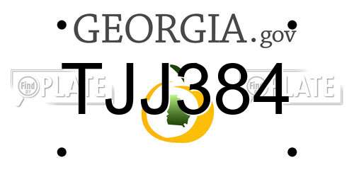 TJJ384 Georgia License Plate