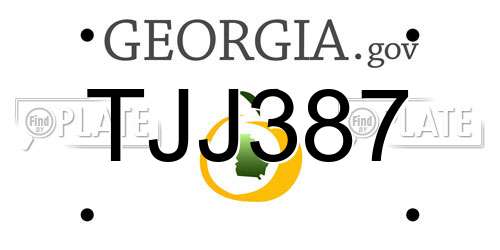TJJ387 Georgia License Plate