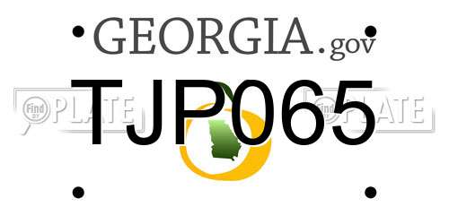 TJP065 Georgia License Plate