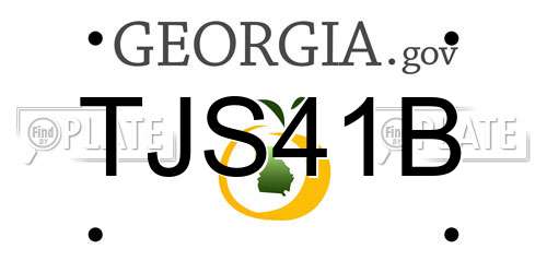 TJS41B Georgia License Plate