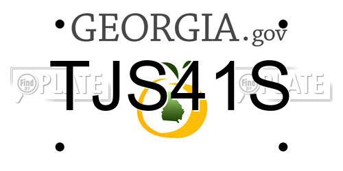 TJS41S Georgia License Plate