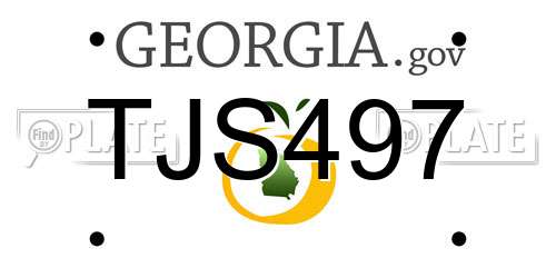 TJS497 Georgia License Plate