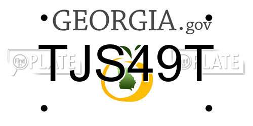 TJS49T Georgia License Plate