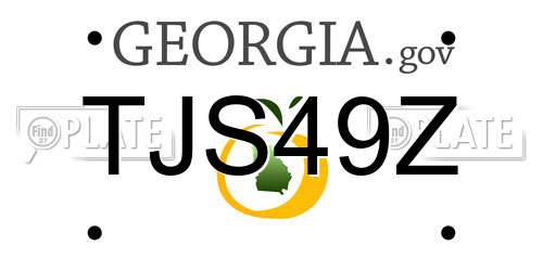 TJS49Z Georgia License Plate