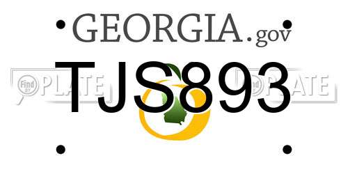 TJS893 Georgia License Plate
