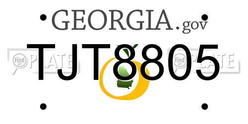 TJT8805 Georgia License Plate