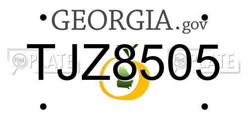 TJZ8505 Georgia License Plate