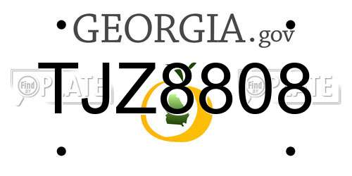TJZ8808 Georgia License Plate