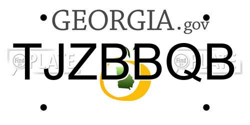 TJZBBQB Georgia License Plate