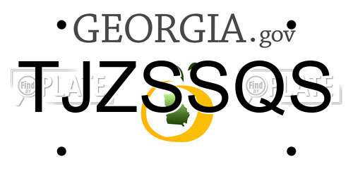 TJZSSQS Georgia License Plate