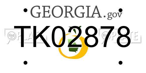 TK02878 Georgia License Plate