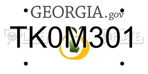 TK0M301 Georgia License Plate