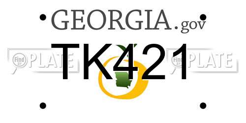 TK421 Georgia License Plate