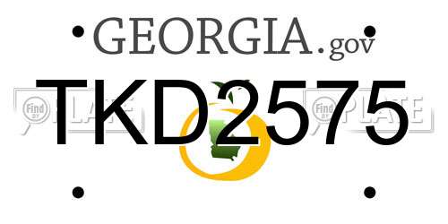 TKD2575 Georgia License Plate