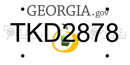TKD2878 Georgia License Plate