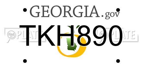 TKH890 Georgia License Plate