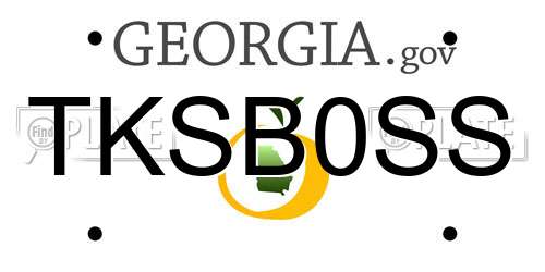 TKSB0SS Georgia License Plate