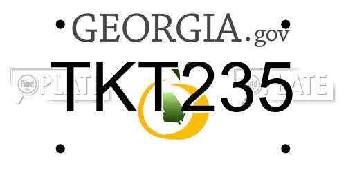 TKT235 Georgia License Plate