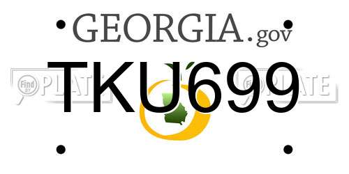 TKU699 Georgia License Plate